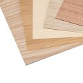 Imagen de categoría para: + Madera de frondosas