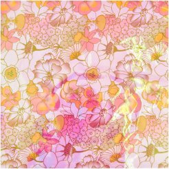 Iris in lamina, 70 cm x 2 m, fiori rosa-arancio