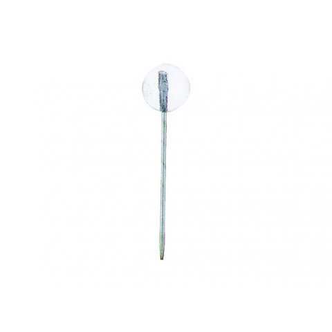 Map pins, ball-headed, coloured ø 5.0 mm, 100 pieces, glass clear