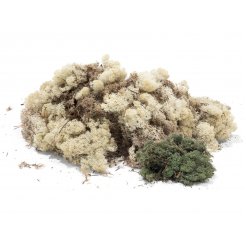 Iceland lichen, soft, coloured