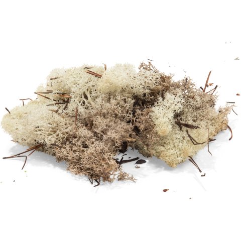 Iceland lichen, soft, coloured natural, app. 50 g